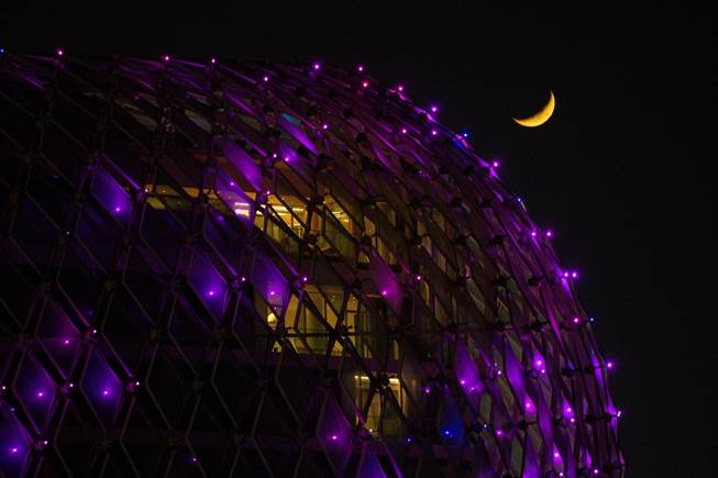 Abu Dhabi Lights Up Purple To Celebrate NYU Abu Dhabi’s Fifth Commencement