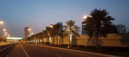 ADM To Plant 1535 Date Trees In Abu Dhabi Island