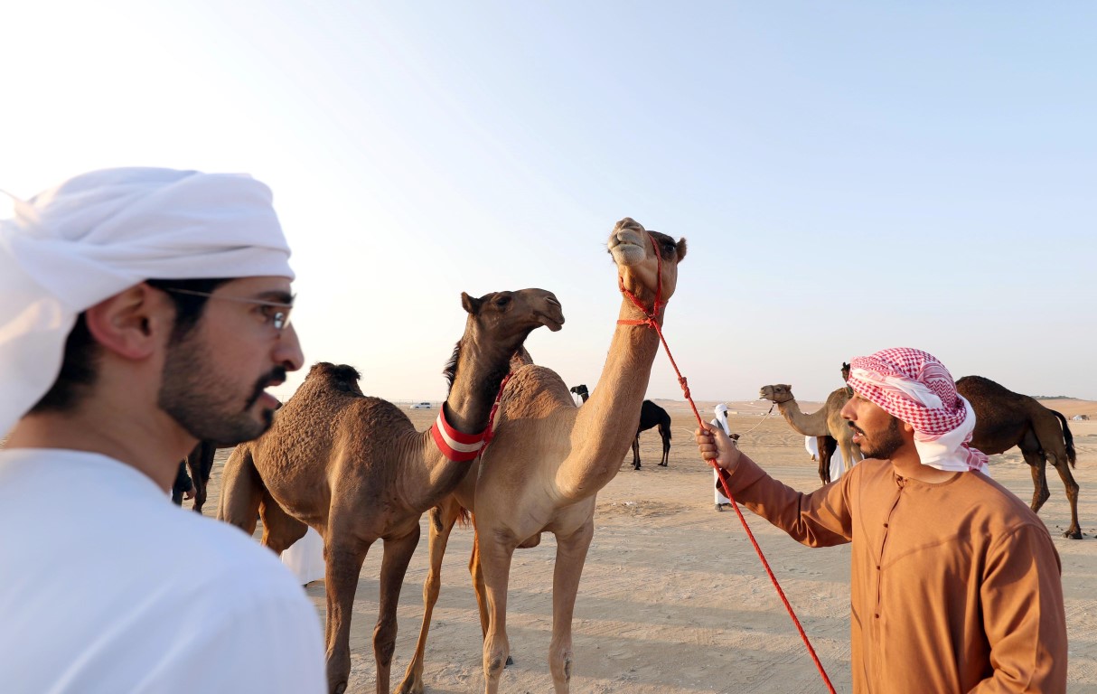 Al Dhafra Festival To Showcase Cultural And Heritage Events