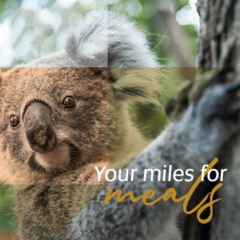 Your Last Chance To Donate Your Etihad Guest Miles To The Australia Bushfire Campaign