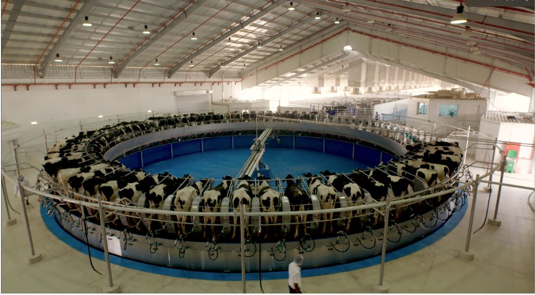 New National Geographic Abu Dhabi Film ‘Marmum’ Takes Viewers On The Journey Of Creating A State-Of-The-Art Dairy Factory In The Heart Of The UAE