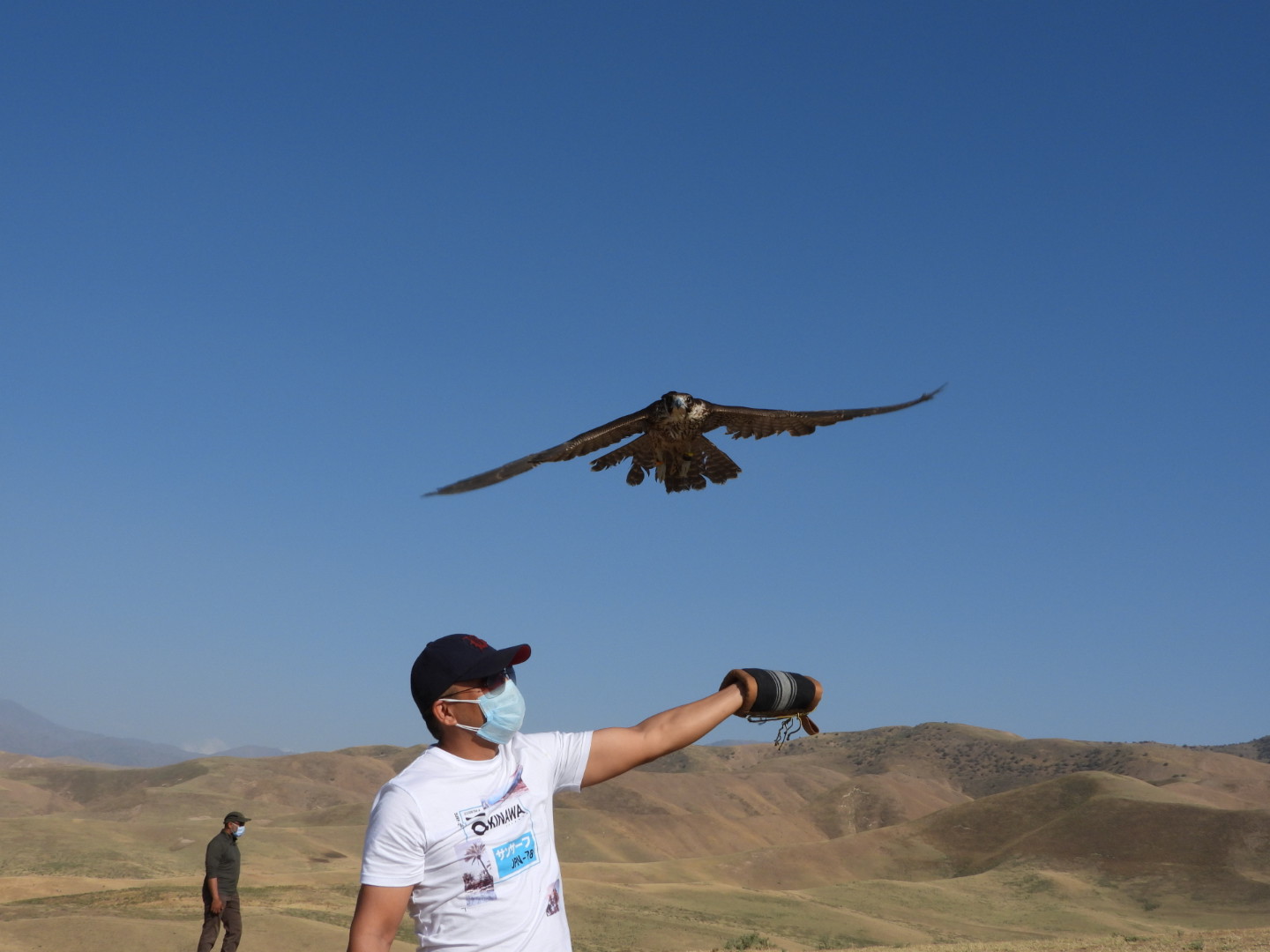 Sheikh Zayed Falcon Release Programme Marks Its 25th Year With A New Milestone