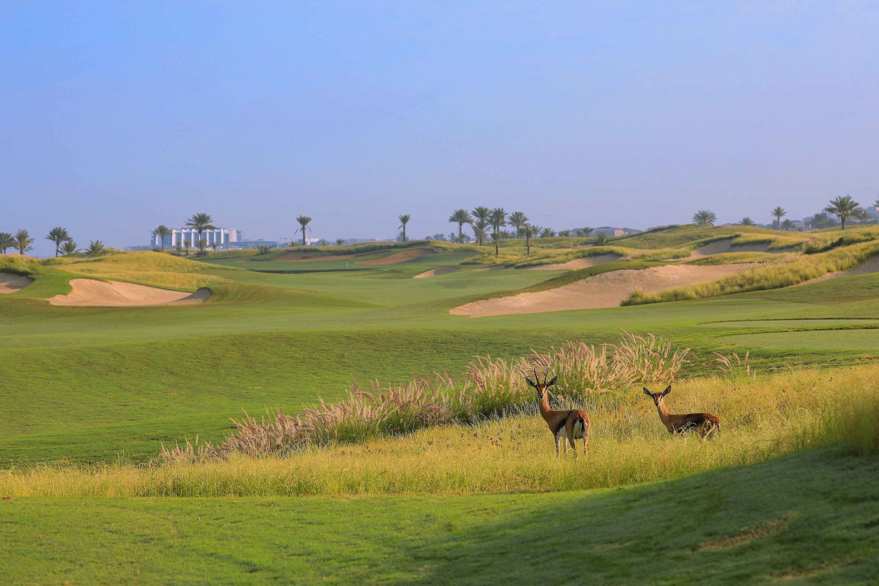 The UAE Capital Is Committed To Safely Welcoming International Golfers Again