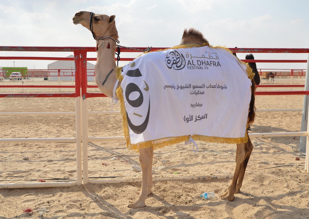 Al Dhafra Festival 2020 To Be Held Under Strict Safety Measures