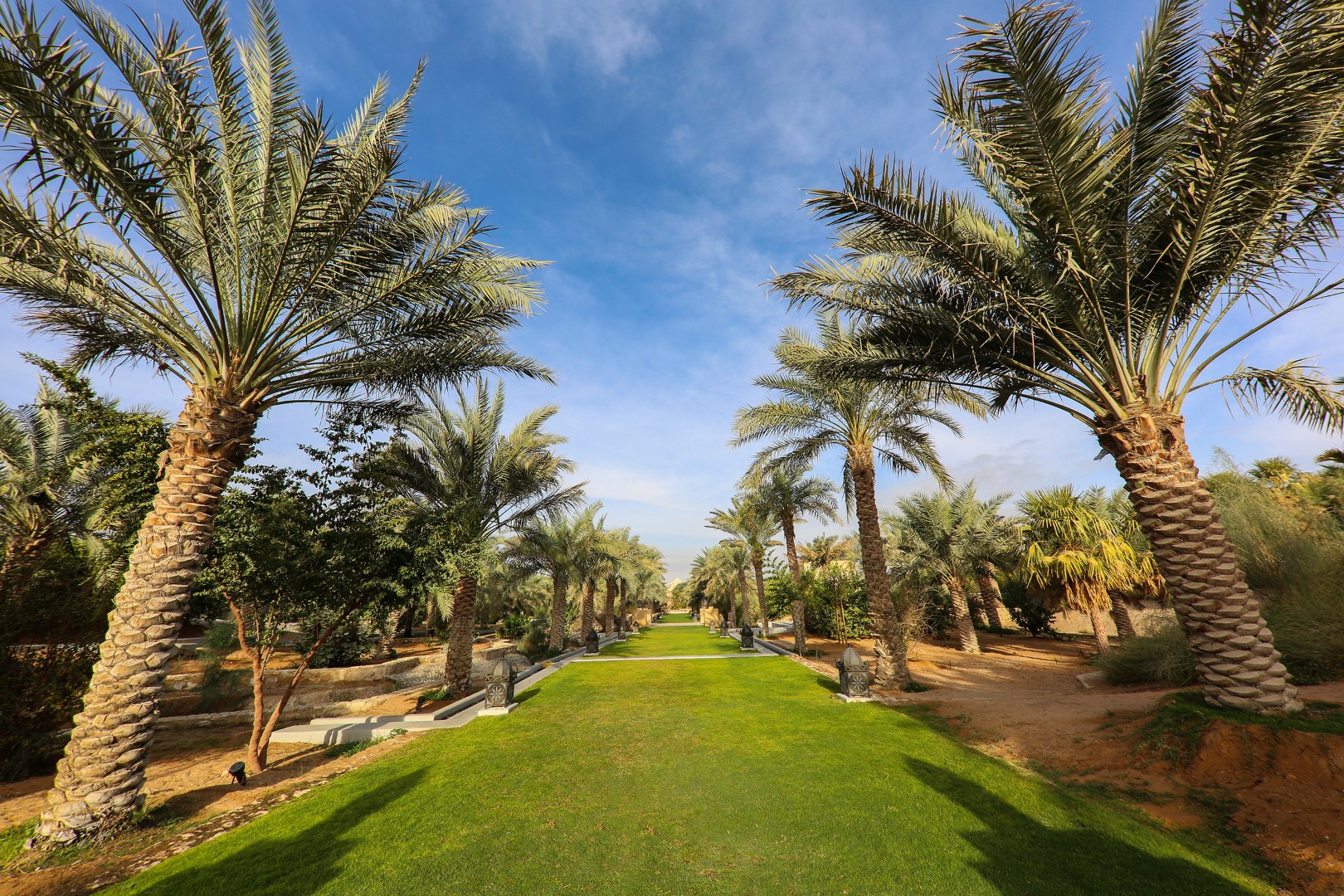 Al Ain Zoo Launches New Mountain Bicycles Experience Through Wonderful Terrain Of Hafeet Mountain