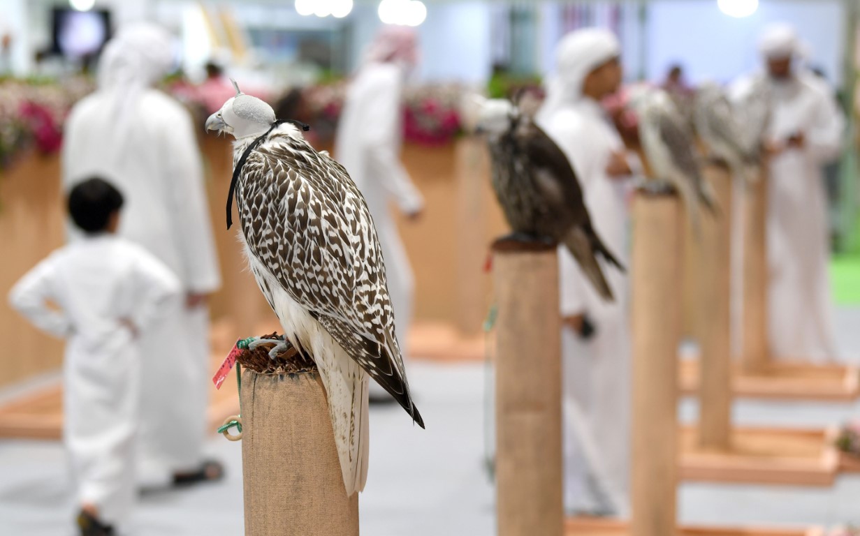ADIHEX Announces ‘Most Beautiful Captive-Bred Falcons’ Contest