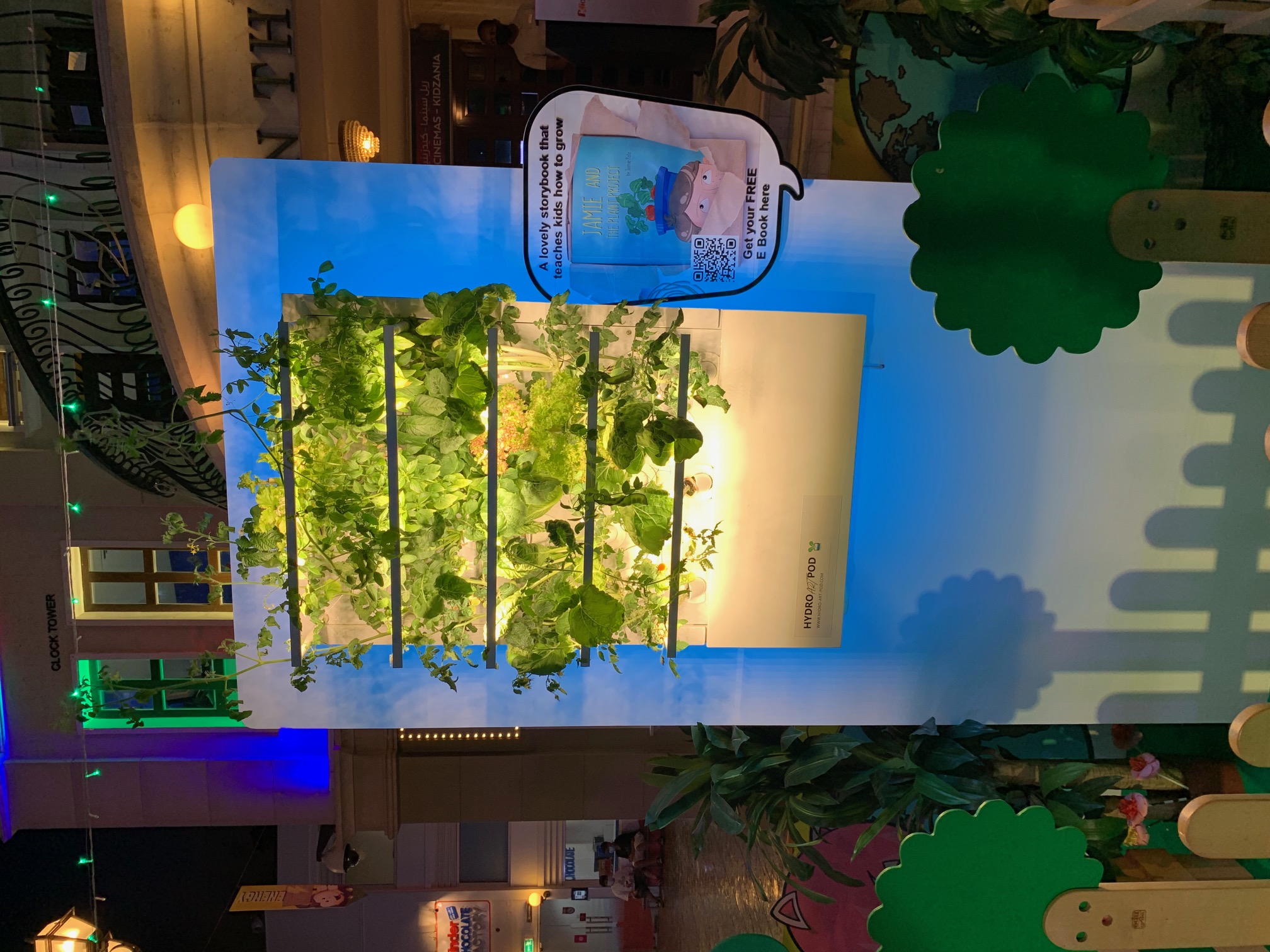 How does it grow?The “Smart Garden” developed by Masdar City teaches children to make food
