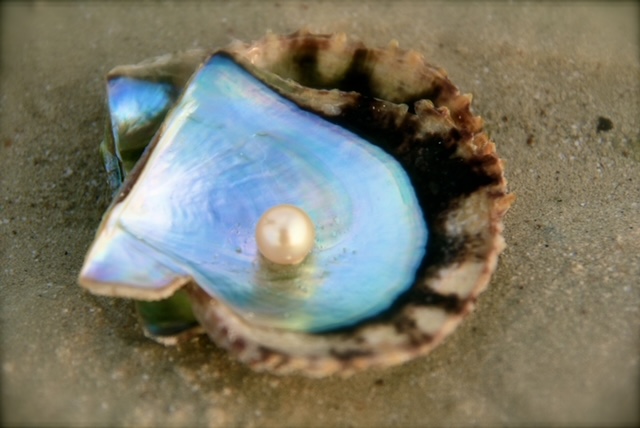EAD And FAO Join Efforts To Revive The Pearl Industry In Abu Dhabi
