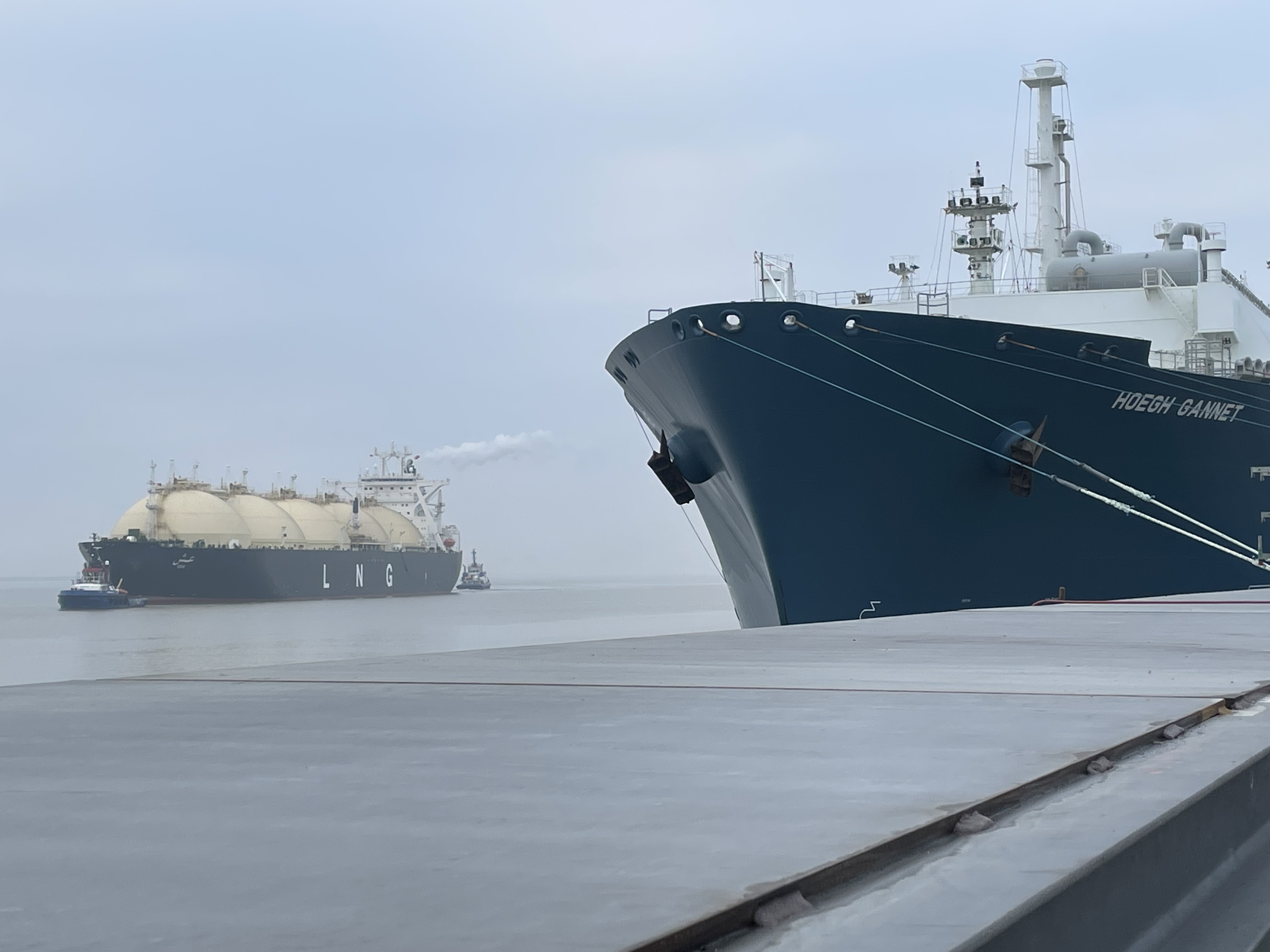 First Middle East LNG Cargo to Germany Successfully Delivered By ADNOC