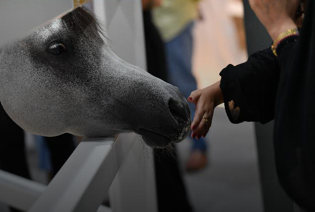 Day One Of ADIHEX Closes After An Action-Packed Agenda Of Shows, Exhibits And Demonstrations