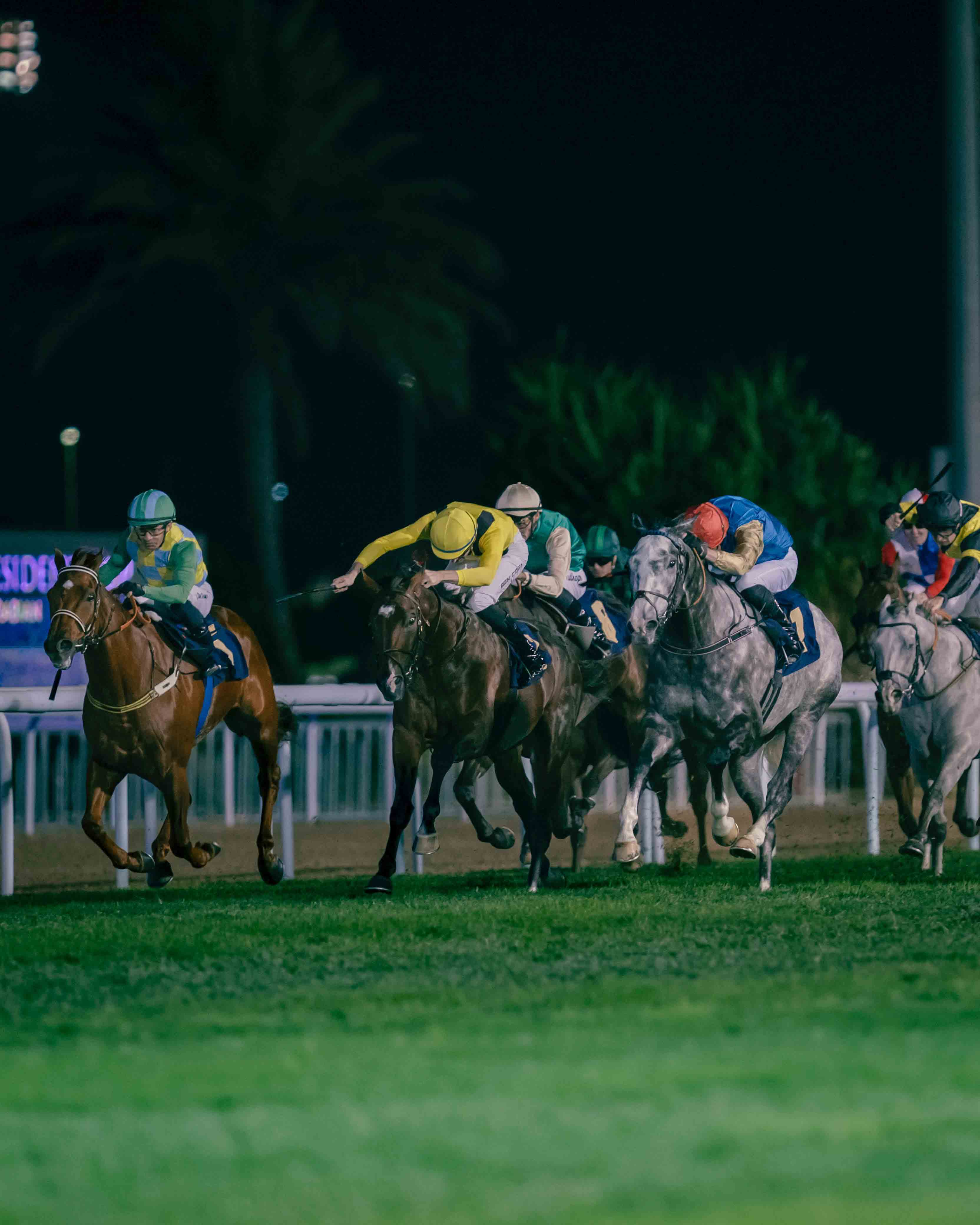 Abu Dhabi Turf Club Hosts The 32nd Edition Of  The UAE President Cup Purebred Arabian Grand Prix