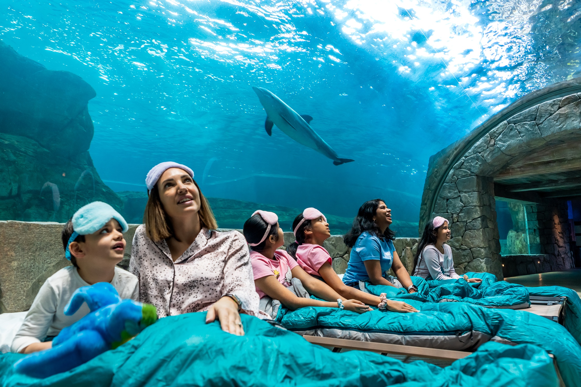 SeaWorld® Yas Island, Abu Dhabi Is Hosting Its Biggest Sleepover Event Yet This June