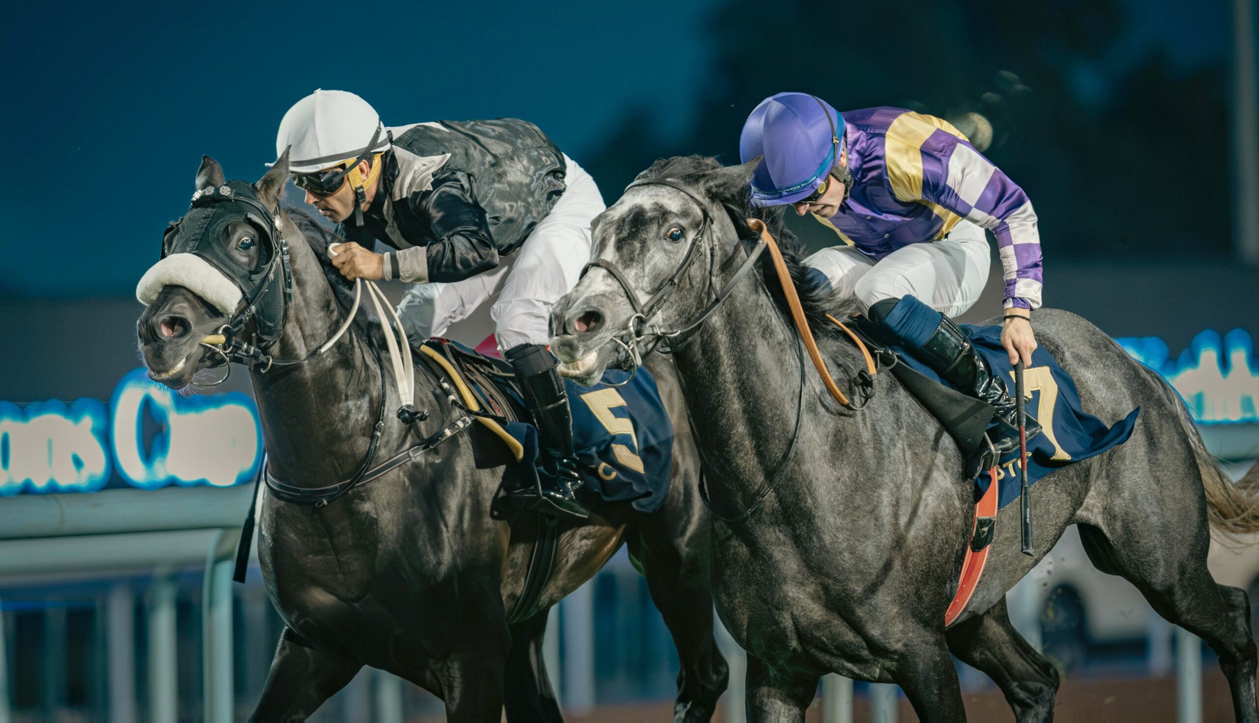 Abu Dhabi Turf Club To Host 33rd UAE President Cup For Arabian Purebred Horses Under The Patronage Of Mansour Bin Zayed