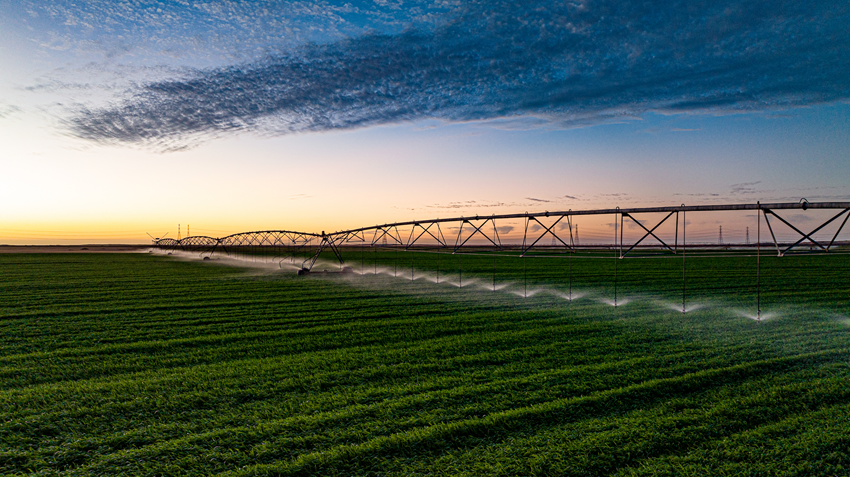 Abu Dhabi’s Al Dahra Publishes Sixth Annual Sustainability Report, Advancing Global Farming Platform
