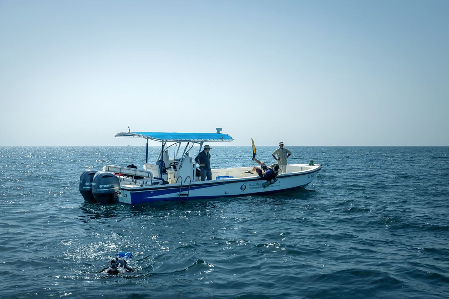 Environment Agency – Abu Dhabi Completes Oyster Bed Mapping Survey Across Emirate’s Marine Waters